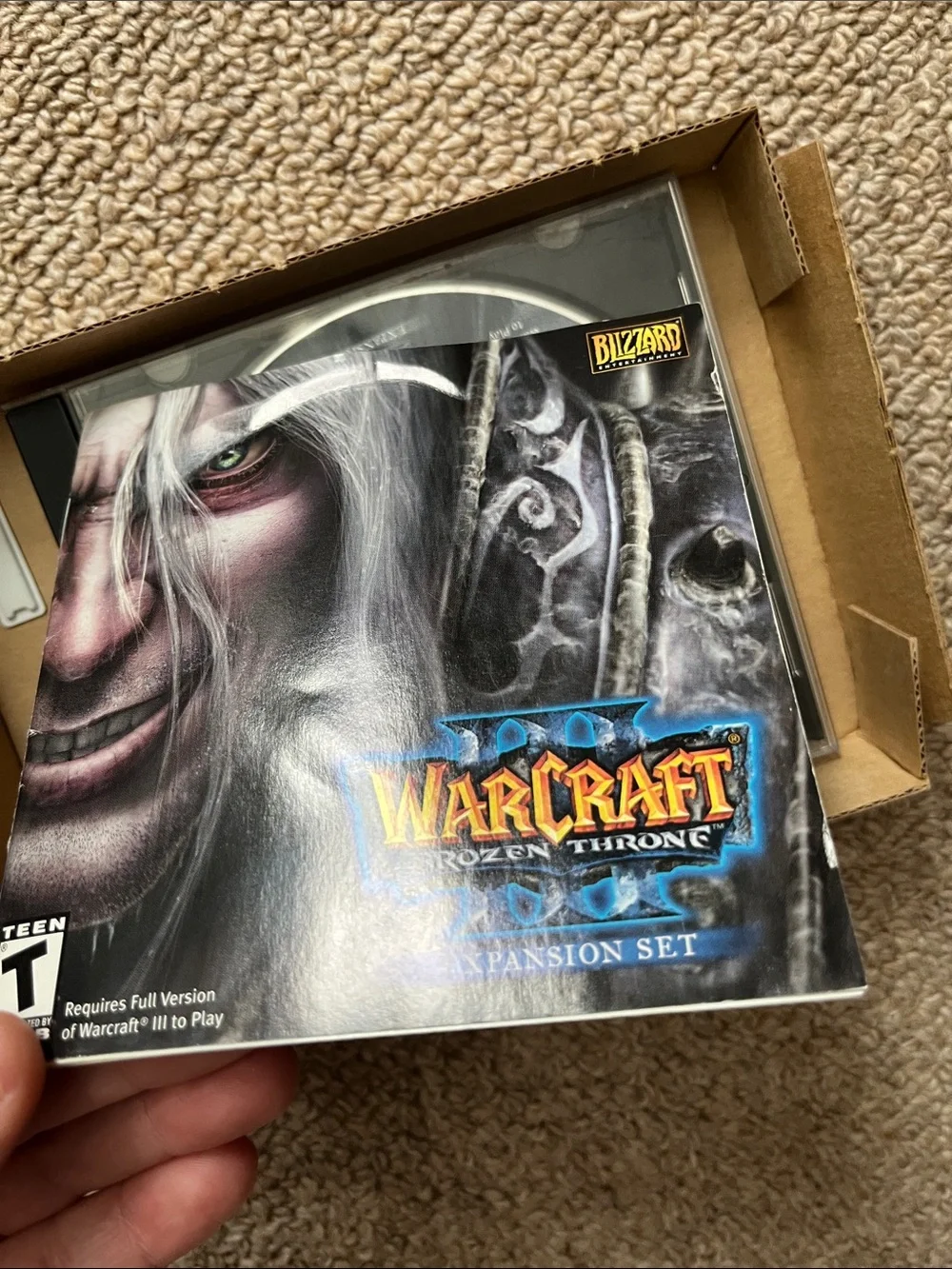 Blizzard Warcraft III: The Frozen Throne Expansion Set - Black/Grey